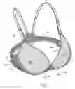 Fig. 07 - Cleavage-enhancing foundation garment