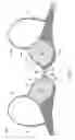 Fig. 08 - Cleavage-enhancing foundation garment