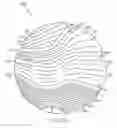 Fig. 05 - Radial-biased polishing pad