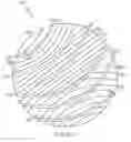 Fig. 07 - Radial-biased polishing pad