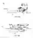 Fig. 16 - Channel sounding method and apparatus