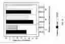 Fig. 17 - Peracid/peroxide composition and use thereof as an anti-microbial and a photosensitizer
