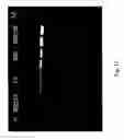 Fig. 18 - Peracid/peroxide composition and use thereof as an anti-microbial and a photosensitizer