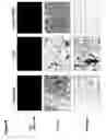 Fig. 09 - Compositions and methods for treating neurological disorders