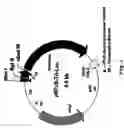 Fig. 02 - Cyclic tetrapeptide compound and use thereof