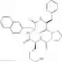 Fig. 154 - Cyclic tetrapeptide compound and use thereof