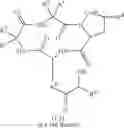 Fig. 17 - Cyclic tetrapeptide compound and use thereof