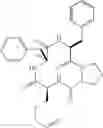 Fig. 484 - Cyclic tetrapeptide compound and use thereof