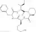 Fig. 564 - Cyclic tetrapeptide compound and use thereof