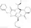 Fig. 565 - Cyclic tetrapeptide compound and use thereof
