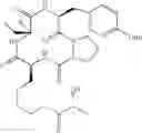 Fig. 574 - Cyclic tetrapeptide compound and use thereof