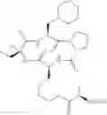 Fig. 680 - Cyclic tetrapeptide compound and use thereof