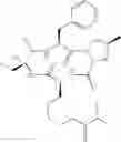 Fig. 716 - Cyclic tetrapeptide compound and use thereof