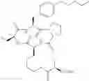 Fig. 786 - Cyclic tetrapeptide compound and use thereof