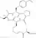 Fig. 799 - Cyclic tetrapeptide compound and use thereof