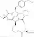 Fig. 809 - Cyclic tetrapeptide compound and use thereof