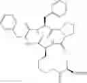 Fig. 871 - Cyclic tetrapeptide compound and use thereof