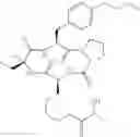 Fig. 882 - Cyclic tetrapeptide compound and use thereof