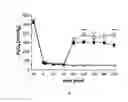 Fig. 02 - Composition comprising a pulmonary surfactant and a pde2 inhibitor