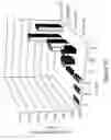Fig. 06 - Peptide-enhanced transfections