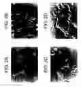 Fig. 05 - T. cruzi-derived neurotrophic agents and methods of use therefor