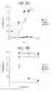 Fig. 11 - T. cruzi-derived neurotrophic agents and methods of use therefor