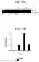 Fig. 23 - T. cruzi-derived neurotrophic agents and methods of use therefor