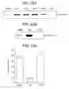 Fig. 33 - T. cruzi-derived neurotrophic agents and methods of use therefor