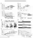 Fig. 03 - Ghrelin associated peptide and its uses