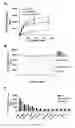Fig. 06 - Ghrelin associated peptide and its uses