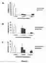 Fig. 22 - Treatment of T cell disorders