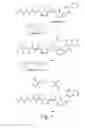 Fig. 08 - Pentapeptide compounds and uses related thereto
