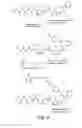 Fig. 09 - Pentapeptide compounds and uses related thereto
