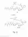 Fig. 11 - Pentapeptide compounds and uses related thereto