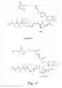 Fig. 12 - Pentapeptide compounds and uses related thereto