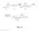 Fig. 17 - Pentapeptide compounds and uses related thereto