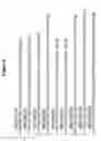 Fig. 08 - Methods and compositions for the inhibition of gene expression