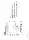 Fig. 07 - Methods for treating infectious disease exacerbated asthma