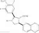 Fig. 1007 - Endothelin antagonists