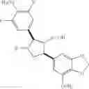 Fig. 1008 - Endothelin antagonists