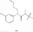 Fig. 1723 - Endothelin antagonists