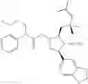 Fig. 2648 - Endothelin antagonists