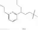 Fig. 403 - Endothelin antagonists