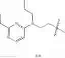 Fig. 437 - Endothelin antagonists