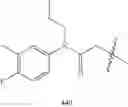 Fig. 490 - Endothelin antagonists