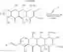 Fig. 08 - 7, 8 and 9-substituted tetracycline compounds