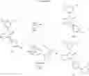 Fig. 08 - Derivatives of [6,7-dihydro-5H-imidazo[1,2-a]imidazole-3-sulfonyl]-azetidine-carboxylic acids, esters and amides