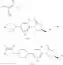 Fig. 29 - Novel antiinfective compounds, process for their preparation and pharmaceutical compositions containing them