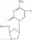Fig. 02 - Therapeutic nucleosides