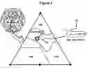 Fig. 04 - Method of treating amyotrophic lateral sclerosis